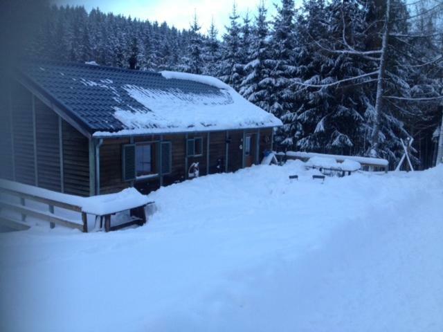 Chalet Le Grand Cerf Bullange Exterior photo